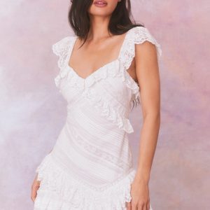 Bensley Fitted Lace Mini Dress